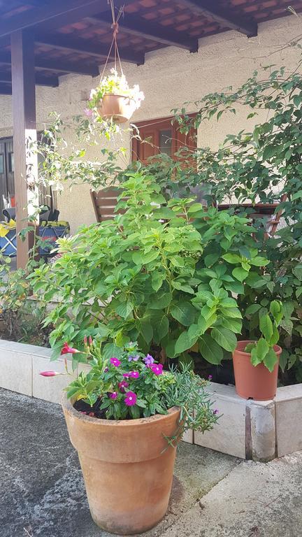 באניולה Apartment Ecio מראה חיצוני תמונה